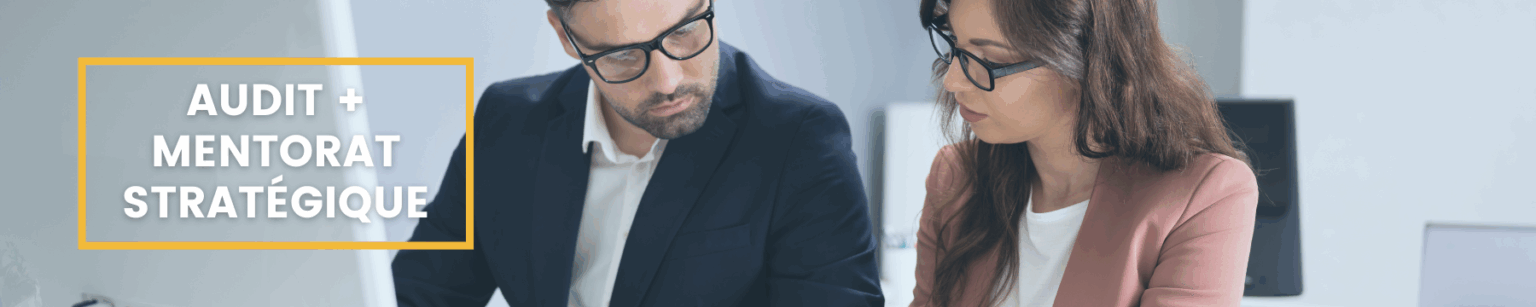 Audit + Mentorat stratégique